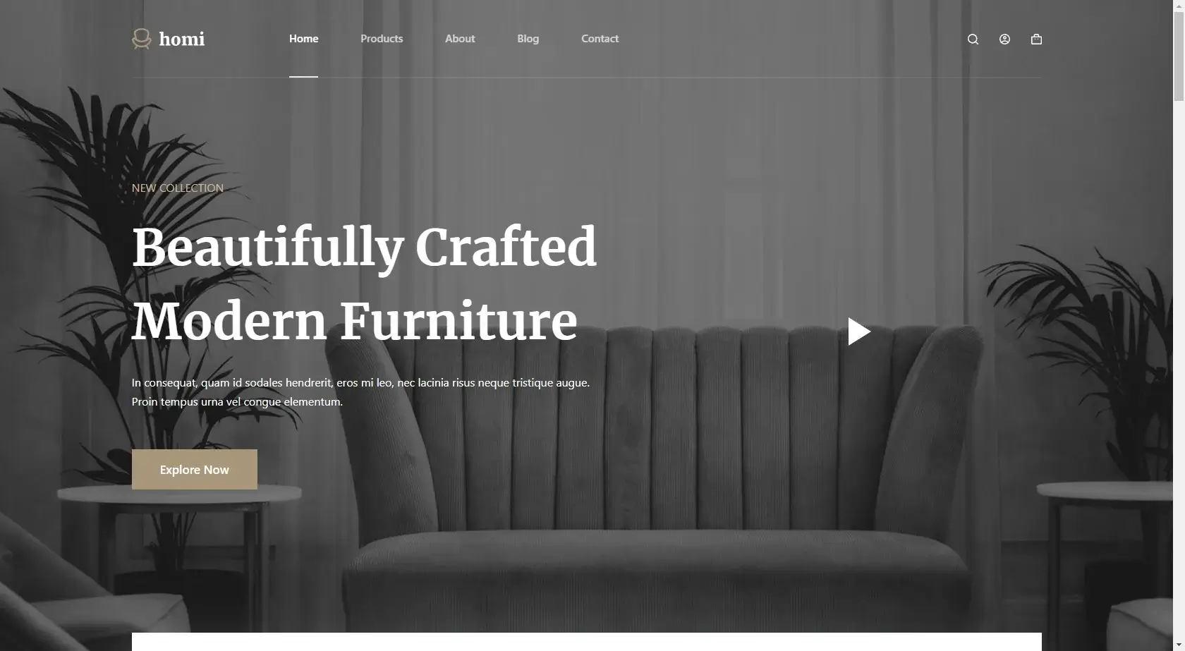 Homi - Modern Funiture Website