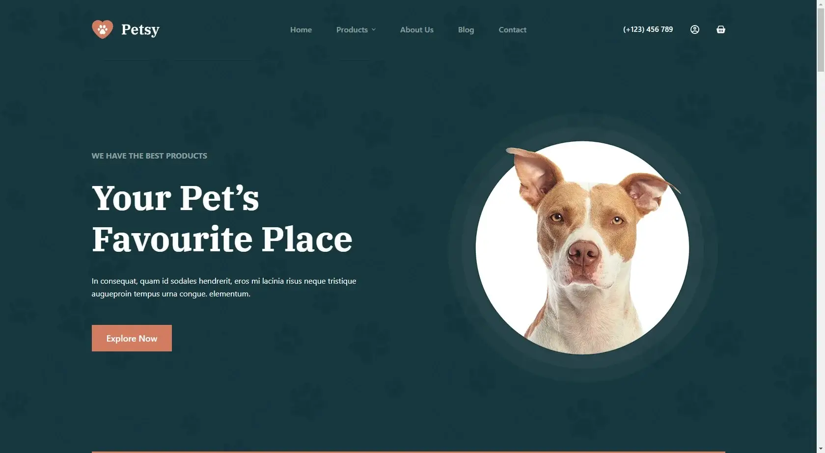 Petsy - Pet Store Website